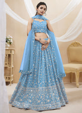 Leaf Branch Type Design in Sky Blue Lehenga